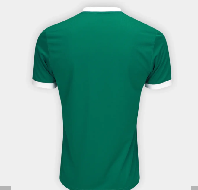 Camisola Palmeiras 25/26