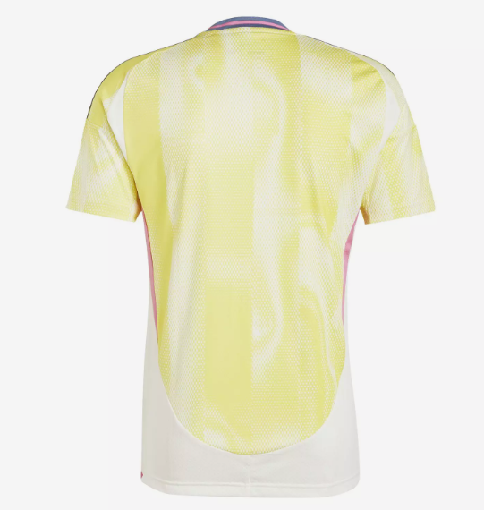 Camisola Juventus 24/25 Alternativa