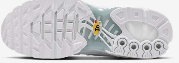Nike Air Max TN Brancos