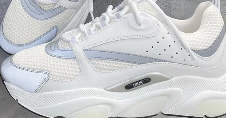 DIOR B22 White