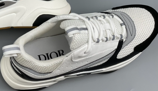 DIOR B22 Black and White